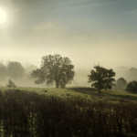 Goudhurst at dawn